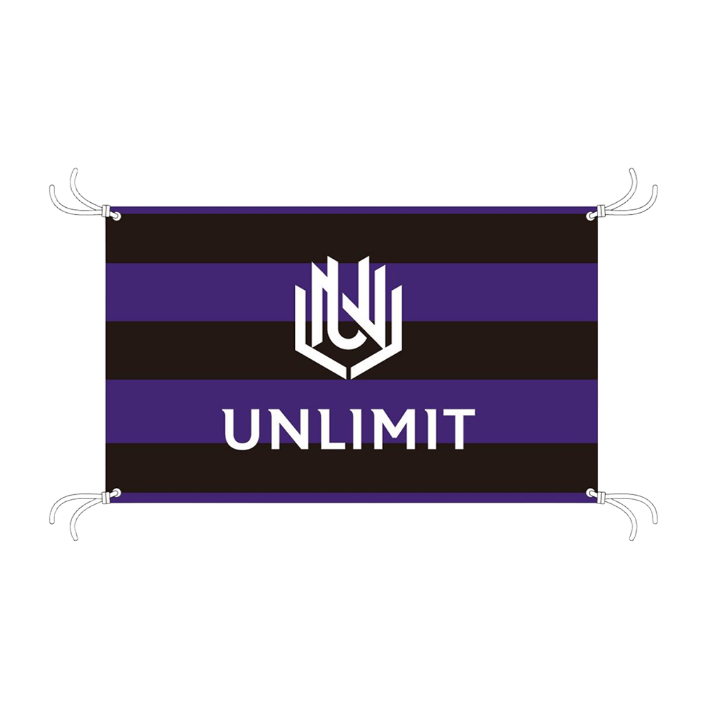 TEAM FLAG / LARGE