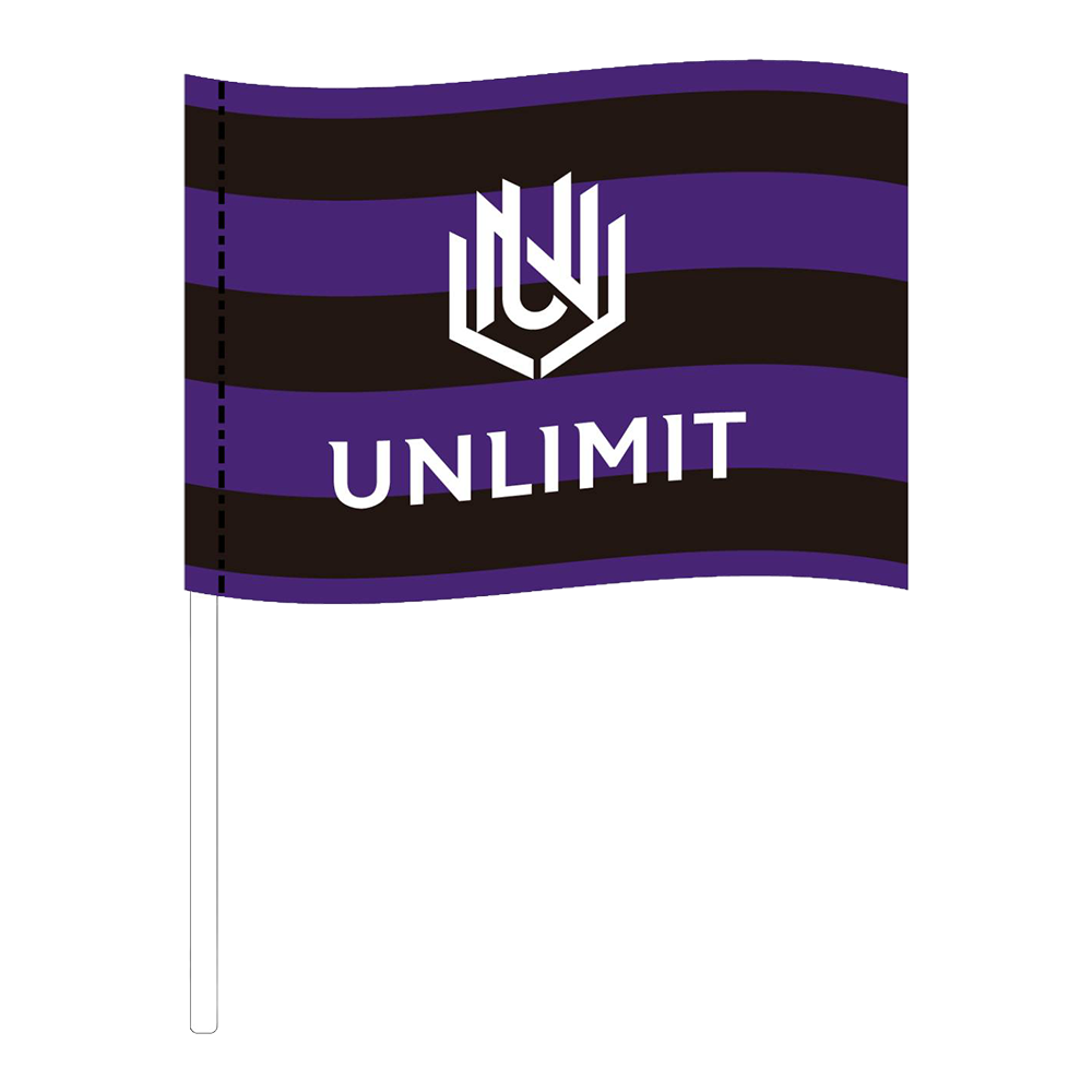 TEAM FLAG / SMALL