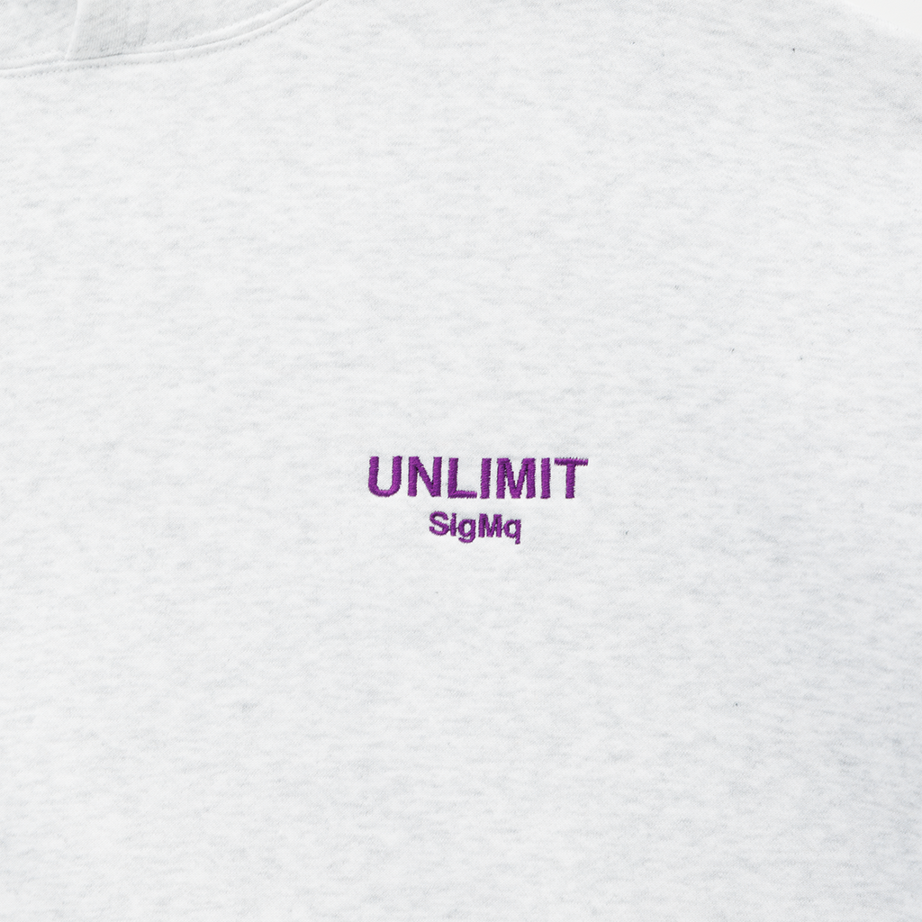 EMBROIDERED LOGO HOODIE GRAY